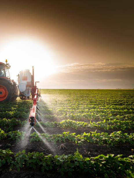 spraying insecticide