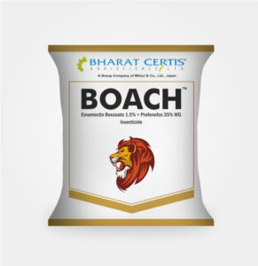 boach insecticide