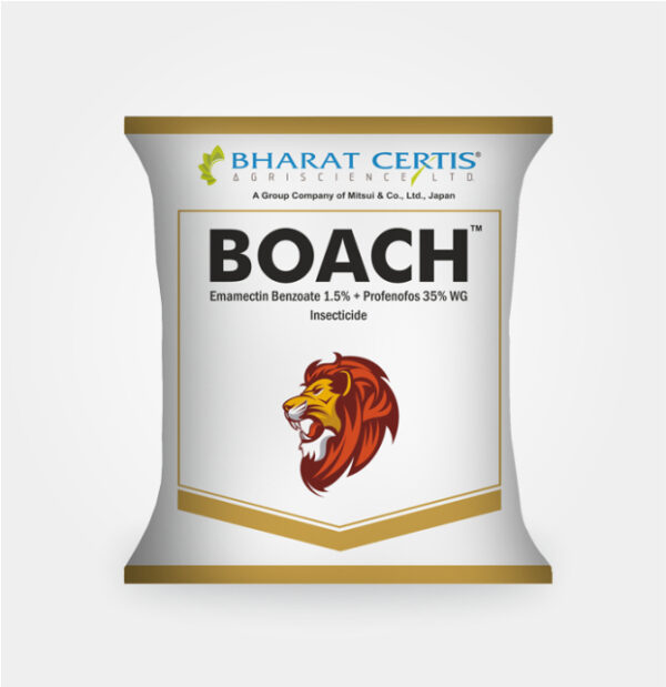 boach insecticide