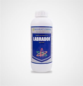 labrador insecticide